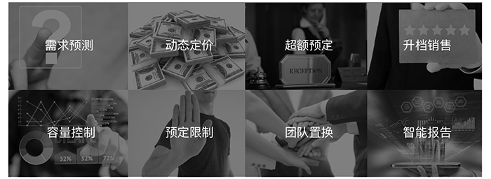 需求展望，动态定价，逾额预定，升档销售，容量控制，预订限制，团队置换，智能报告